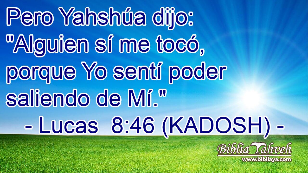  Pero Yahshúa dijo: 