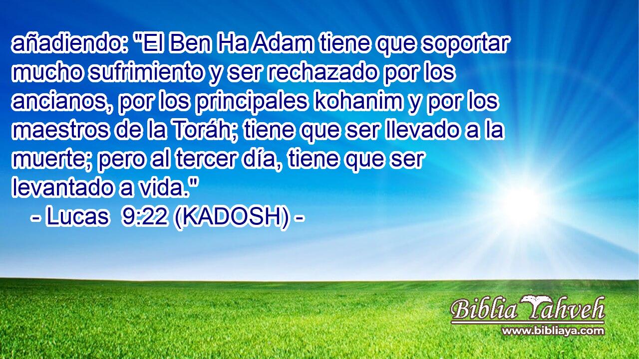  añadiendo: 