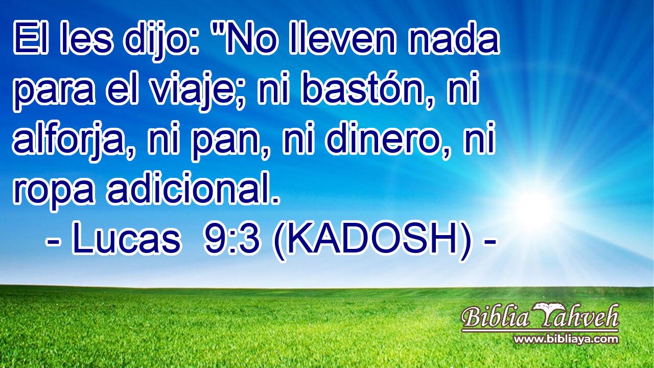  El les dijo: 
