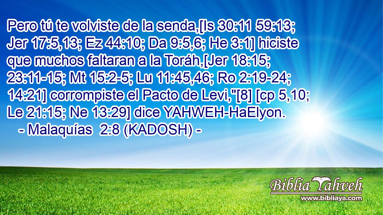  Pero tú te volviste de la senda,[Is 30:11 59:13; Jer 17:5,13; Ez 44:10; Da 9:5,6; He 3:1] hiciste que muchos faltaran a la Toráh,[Jer 18:15; 23:11-15; Mt 15:2-5; Lu 11:45,46; Ro 2:19-24; 14:21] corrompiste el Pacto de Levi,