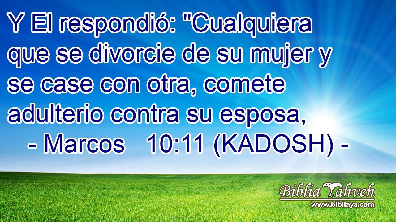  Y El respondió: 