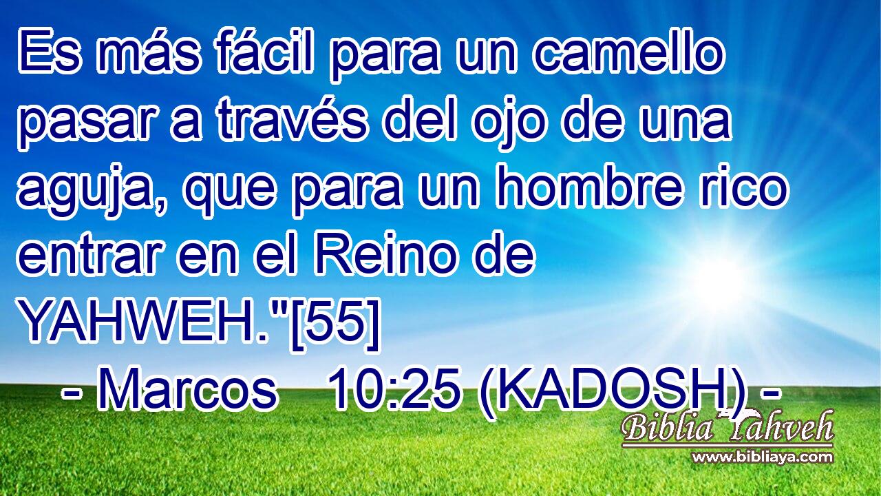  Es más fácil para un camello pasar a través del ojo de una aguja, que para un hombre rico entrar en el Reino de YAHWEH.