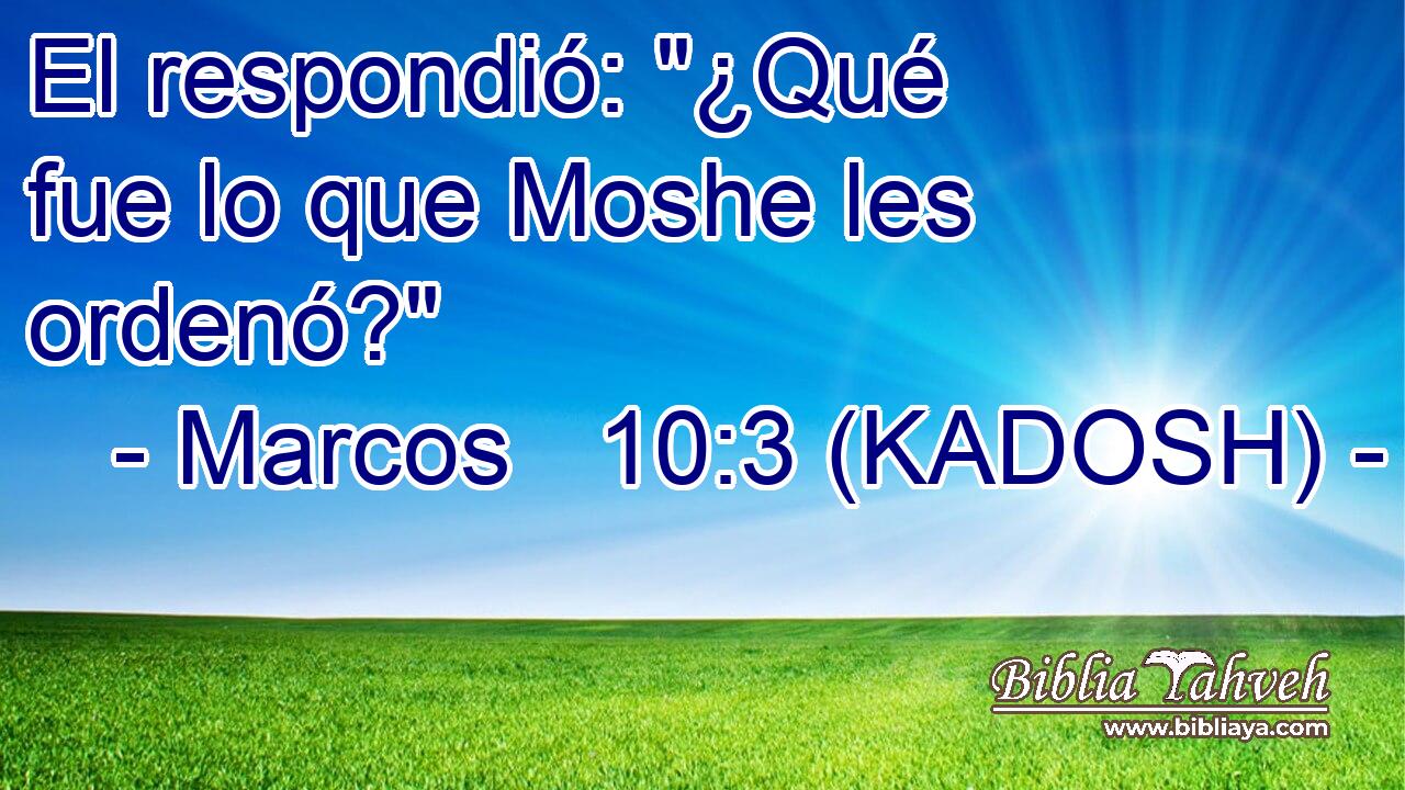  El respondió: 