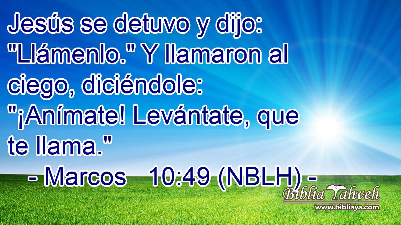  Jesús se detuvo y dijo: 