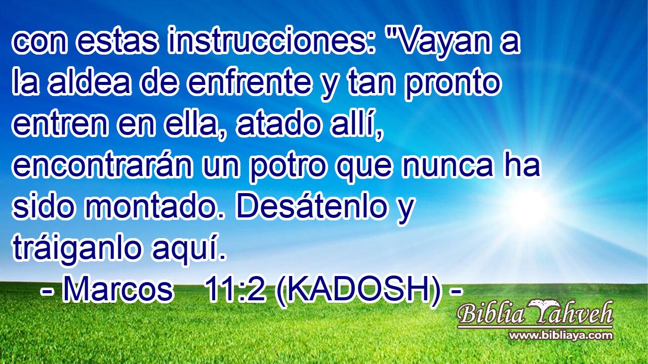  con estas instrucciones: 