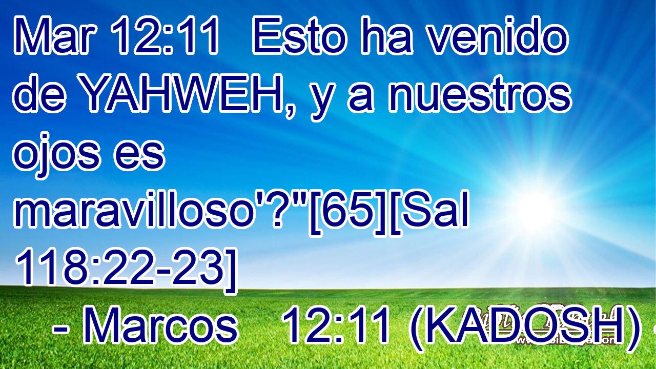  Esto ha venido de YAHWEH, y a nuestros ojos es maravilloso'?