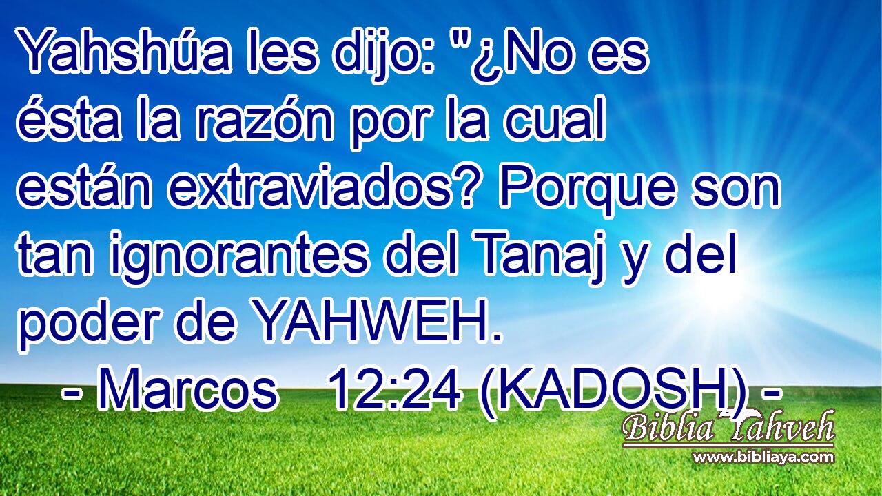 Yahshúa les dijo: 