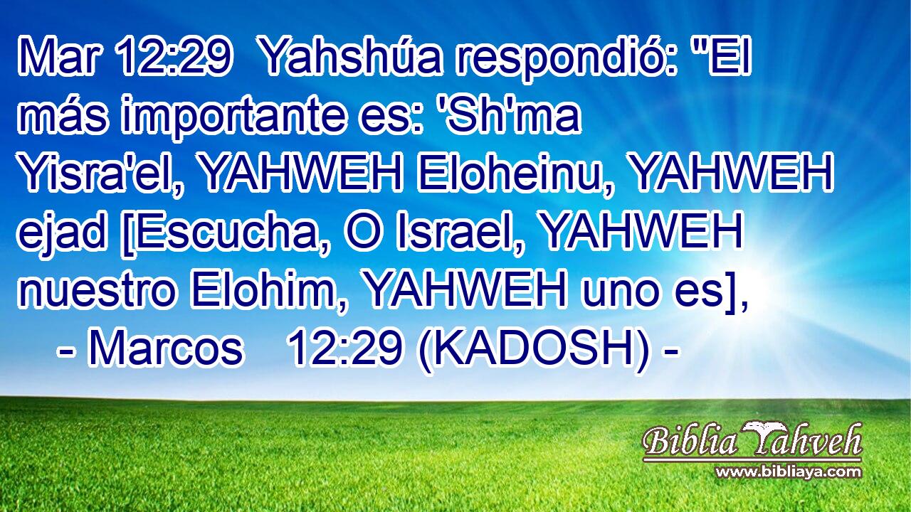  Yahshúa respondió: 