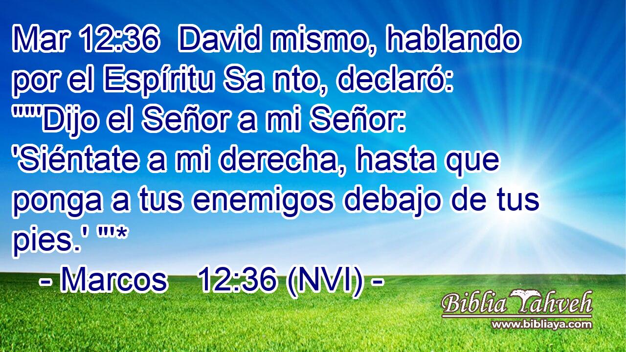 Mar 12:36  David mismo, hablando por el Espíritu Sa nto, declaró: 