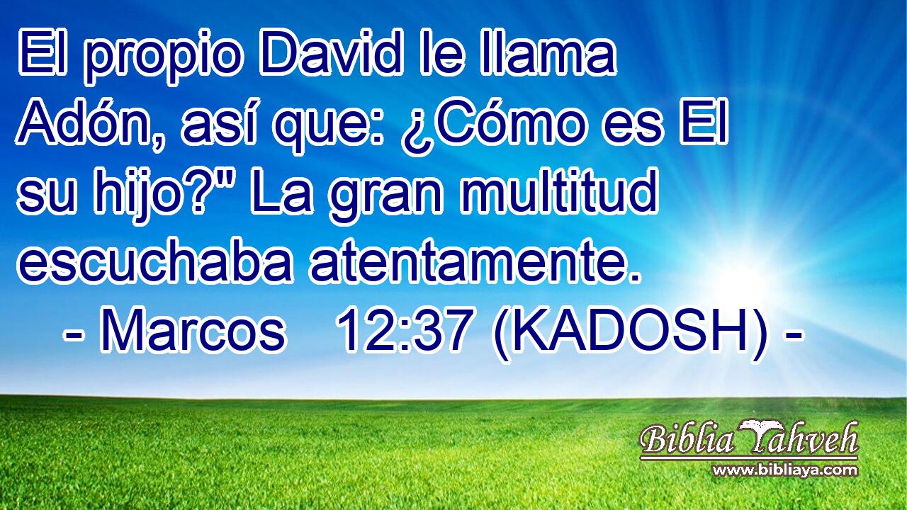  El propio David le llama Adón, así que: ¿Cómo es El su hijo?