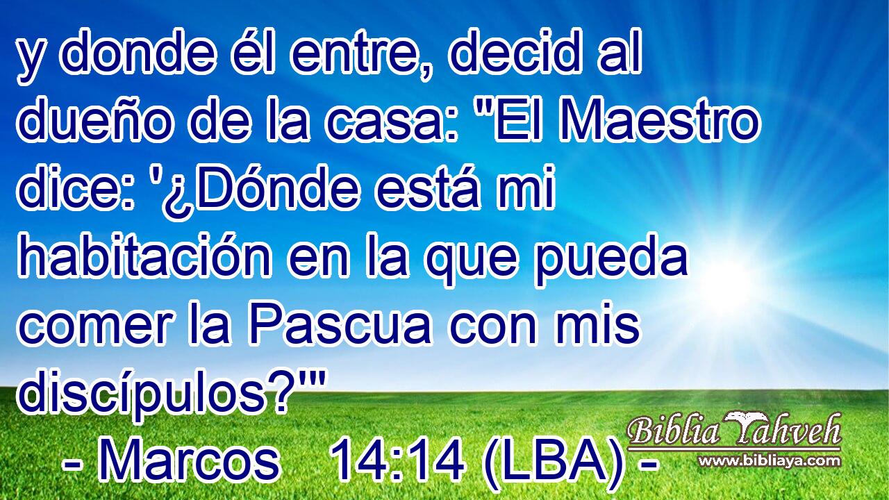 y donde él entre, decid al dueño de la casa: 