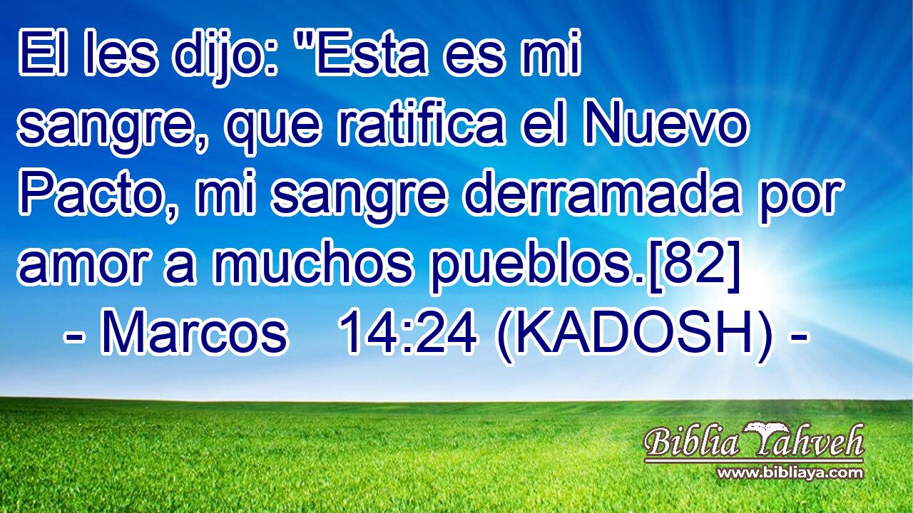  El les dijo: 