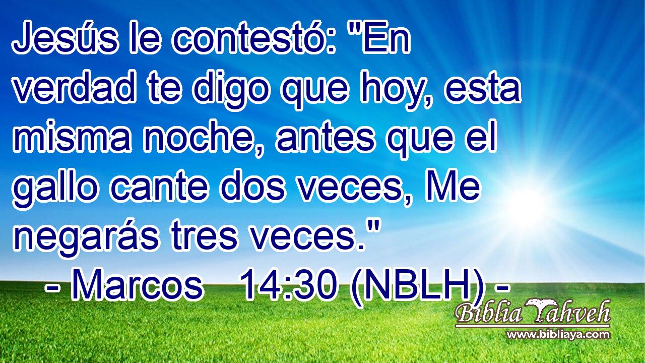  Jesús le contestó: 