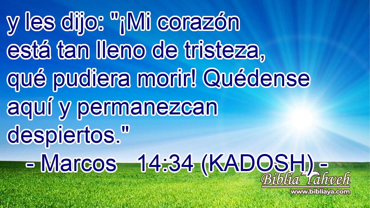  y les dijo: 