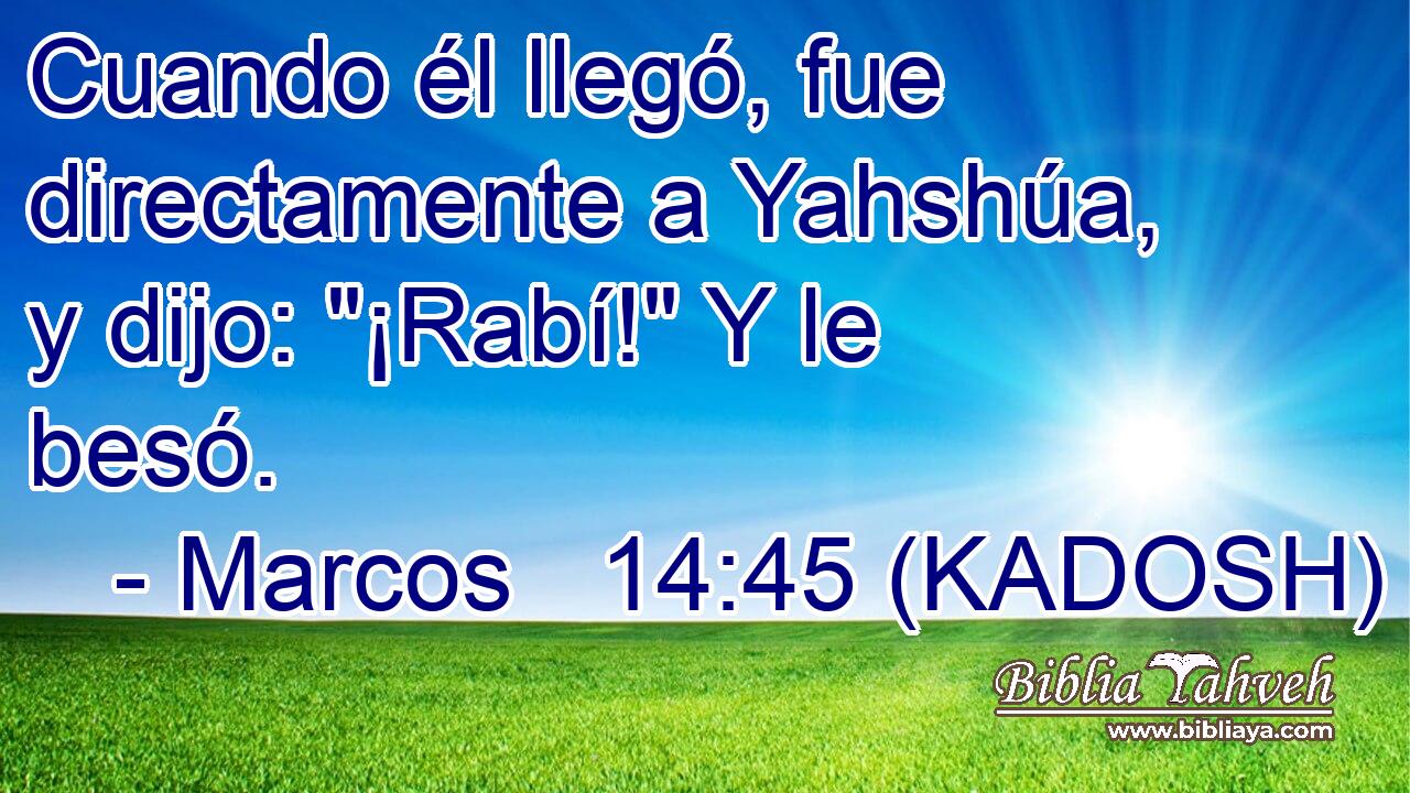  Cuando él llegó, fue directamente a Yahshúa, y dijo: 