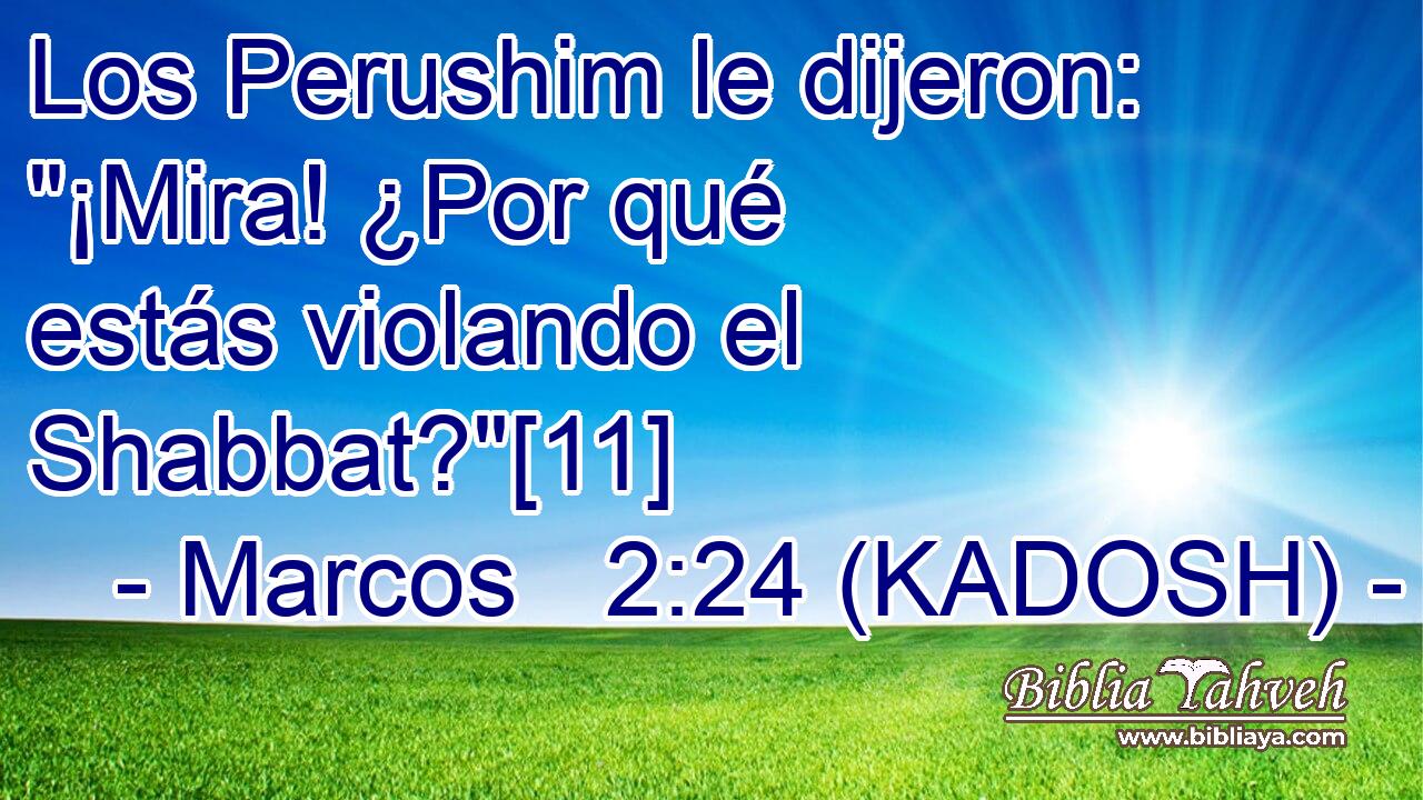  Los Perushim le dijeron: 