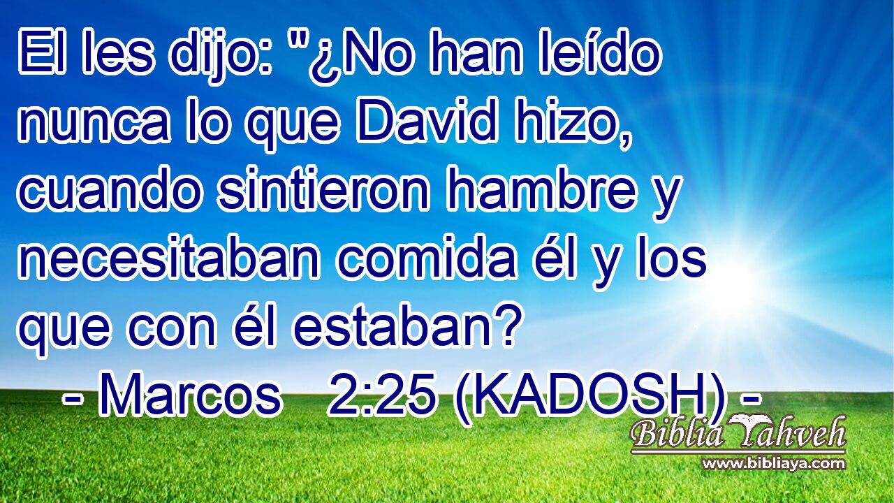  El les dijo: 