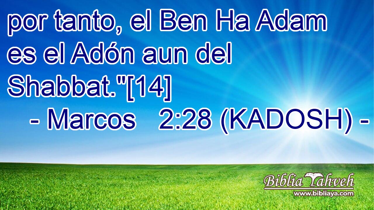  por tanto, el Ben Ha Adam es el Adón aun del Shabbat.