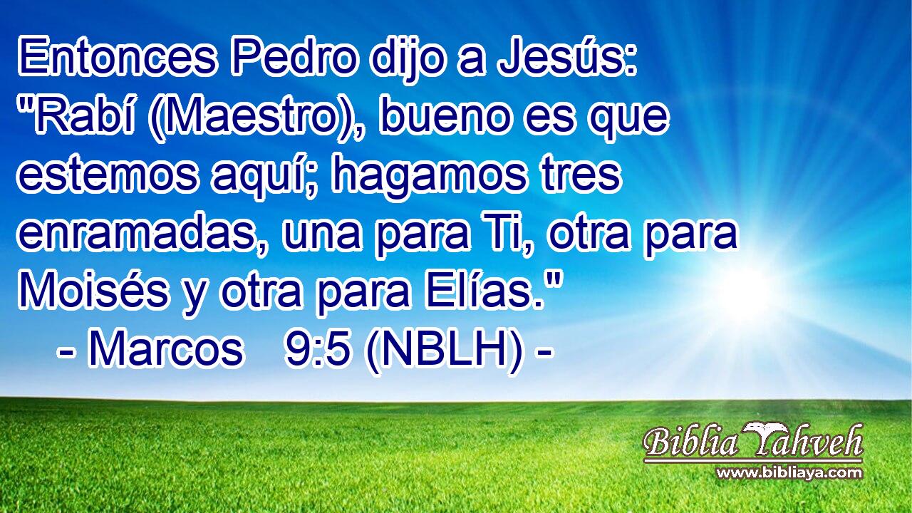  Entonces Pedro dijo a Jesús: 