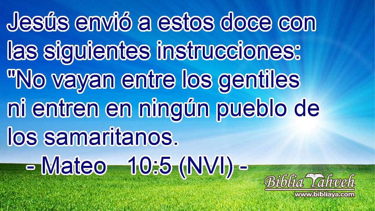  Jesús envió a estos doce con las siguientes instrucciones: 