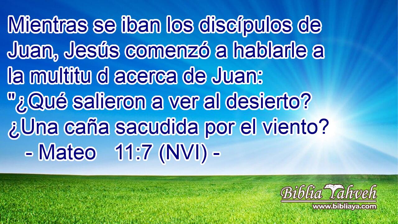  Mientras se iban los discípulos de Juan, Jesús comenzó a hablarle a la multitu d acerca de Juan: 