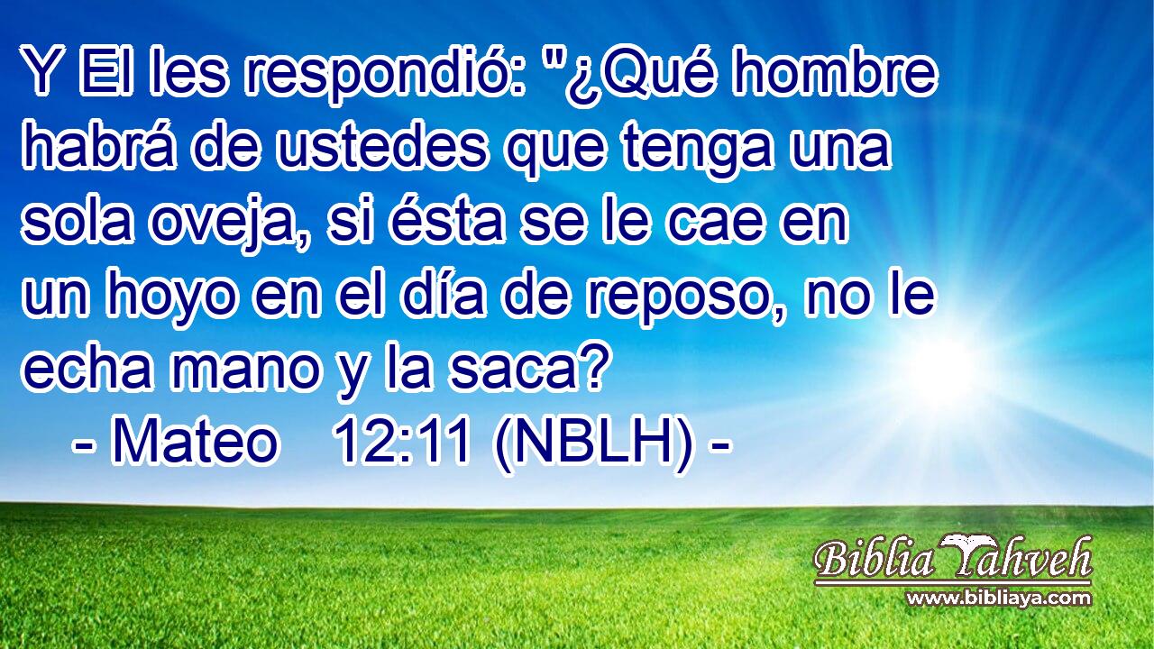  Y El les respondió: 