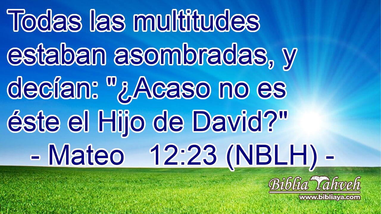  Todas las multitudes estaban asombradas, y decían: 