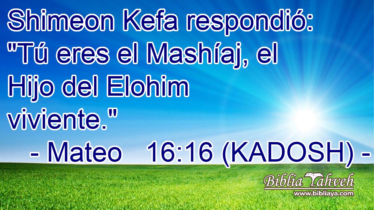  Shimeon Kefa respondió: 