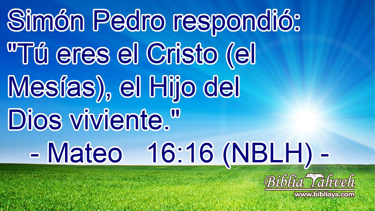  Simón Pedro respondió: 