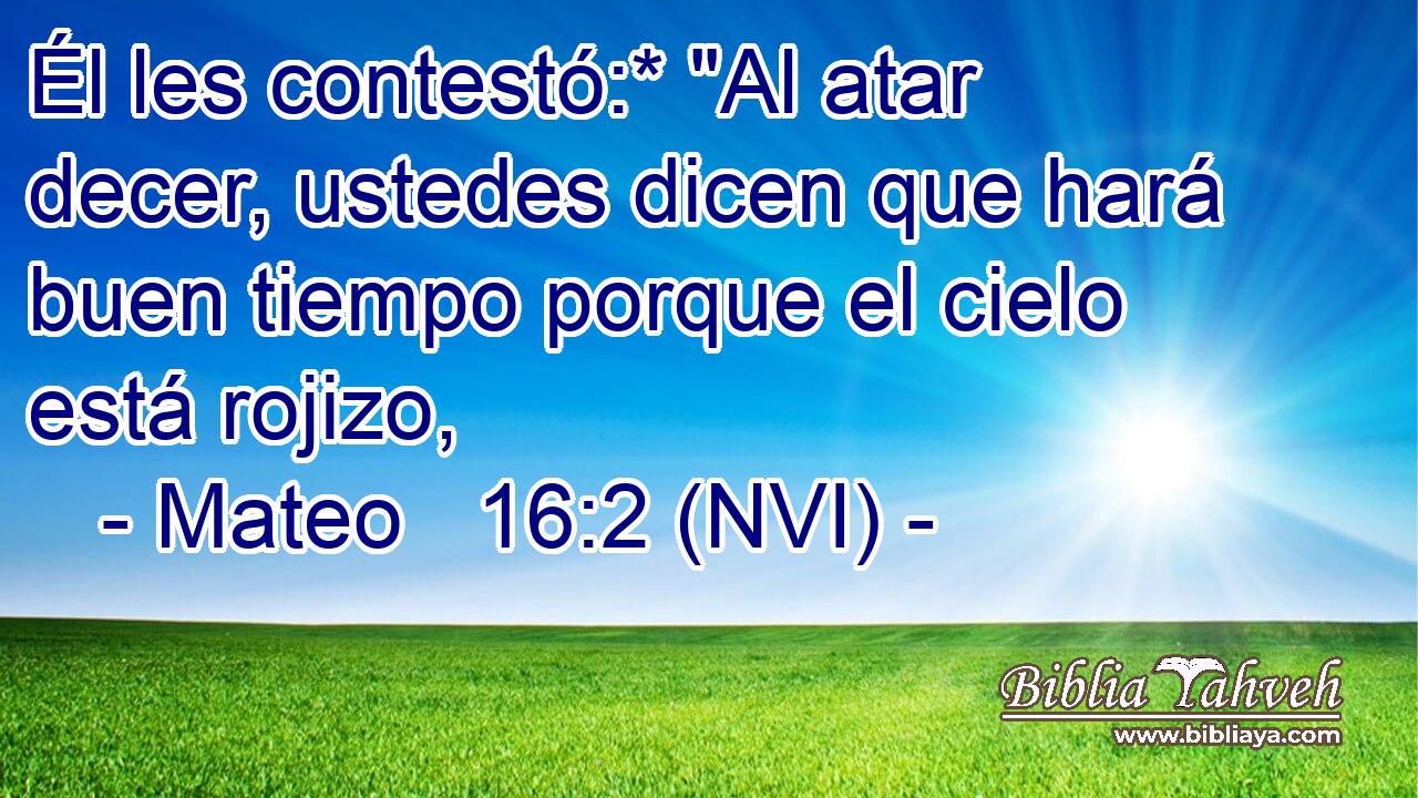  Él les contestó:* 