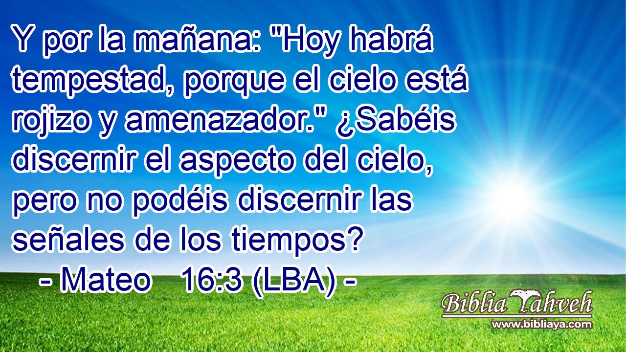 Y por la mañana: 