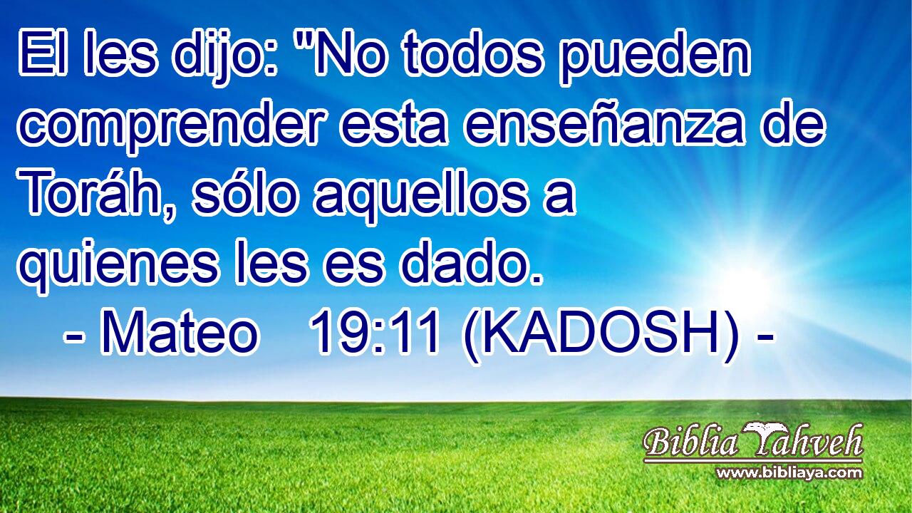  El les dijo: 