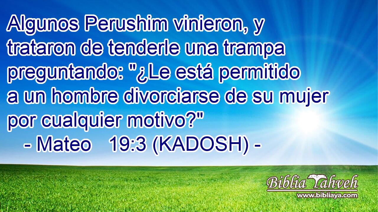  Algunos Perushim vinieron, y trataron de tenderle una trampa preguntando: 