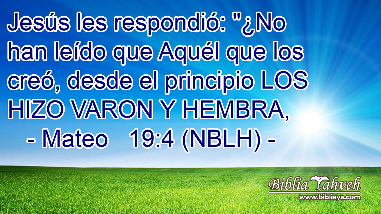  Jesús les respondió: 