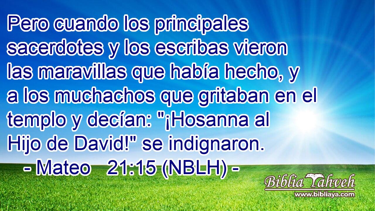  Pero cuando los principales sacerdotes y los escribas vieron las maravillas que había hecho, y a los muchachos que gritaban en el templo y decían: 