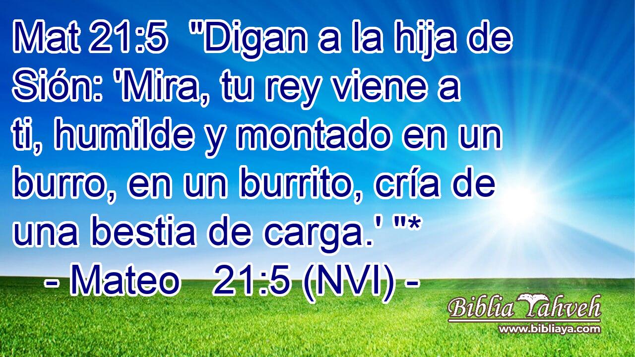 Mat 21:5  