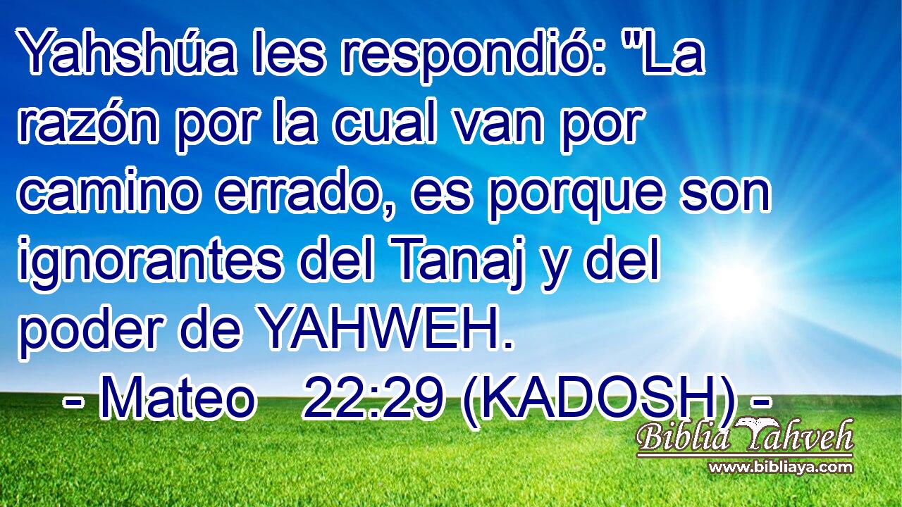  Yahshúa les respondió: 