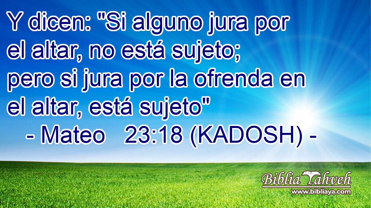  Y dicen: 