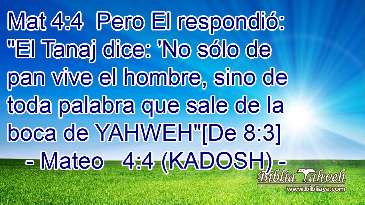  Pero El respondió: 