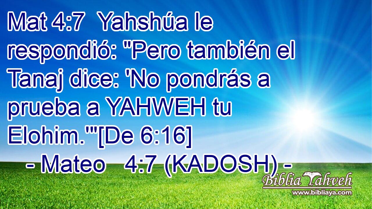  Yahshúa le respondió: 