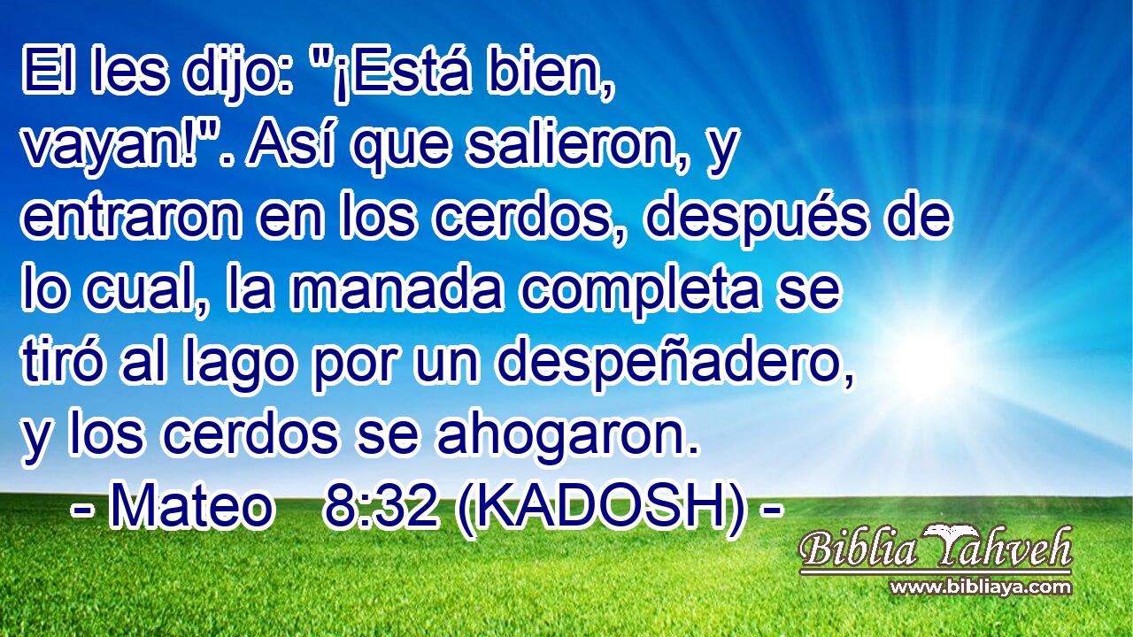  El les dijo: 