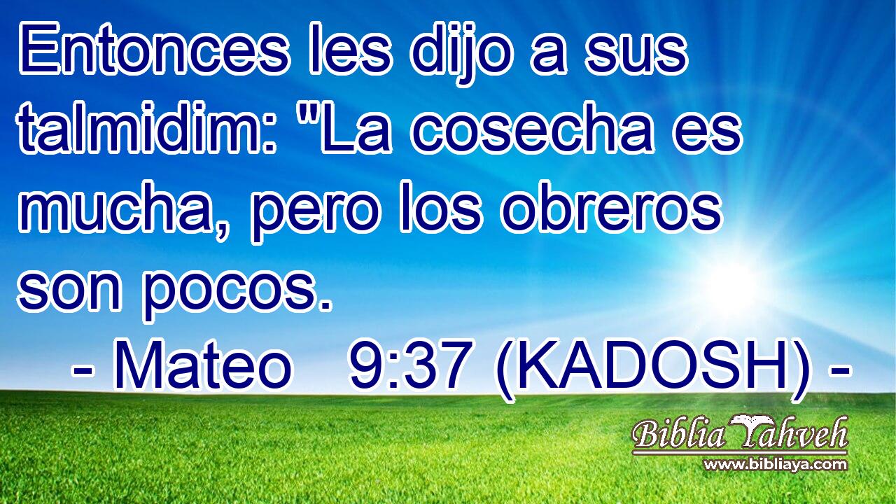  Entonces les dijo a sus talmidim: 