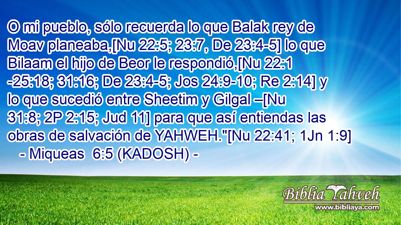  O mi pueblo, sólo recuerda lo que Balak rey de Moav planeaba,[Nu 22:5; 23:7, De 23:4-5] lo que Bilaam el hijo de Beor le respondió,[Nu 22:1 -25:18; 31:16; De 23:4-5; Jos 24:9-10; Re 2:14] y lo que sucedió entre Sheetim y Gilgal –[Nu 31:8; 2P 2:15; Jud 11] para que así entiendas las obras de salvación de YAHWEH.