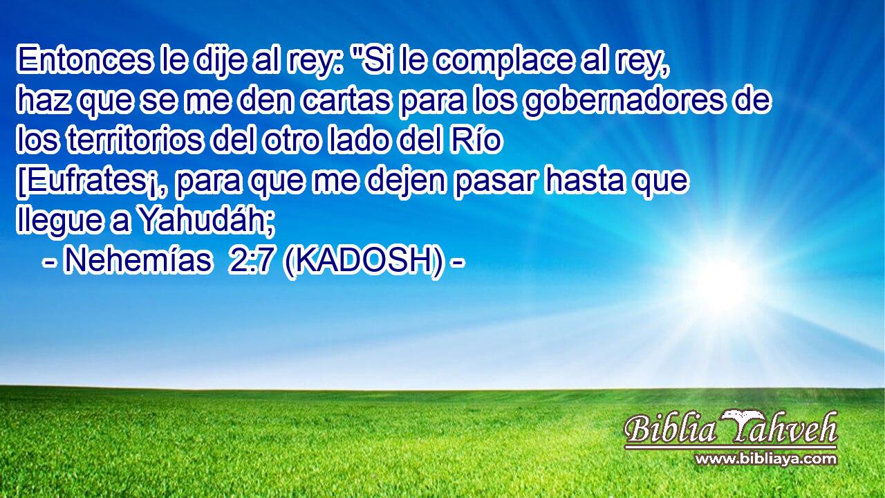  Entonces le dije al rey: 