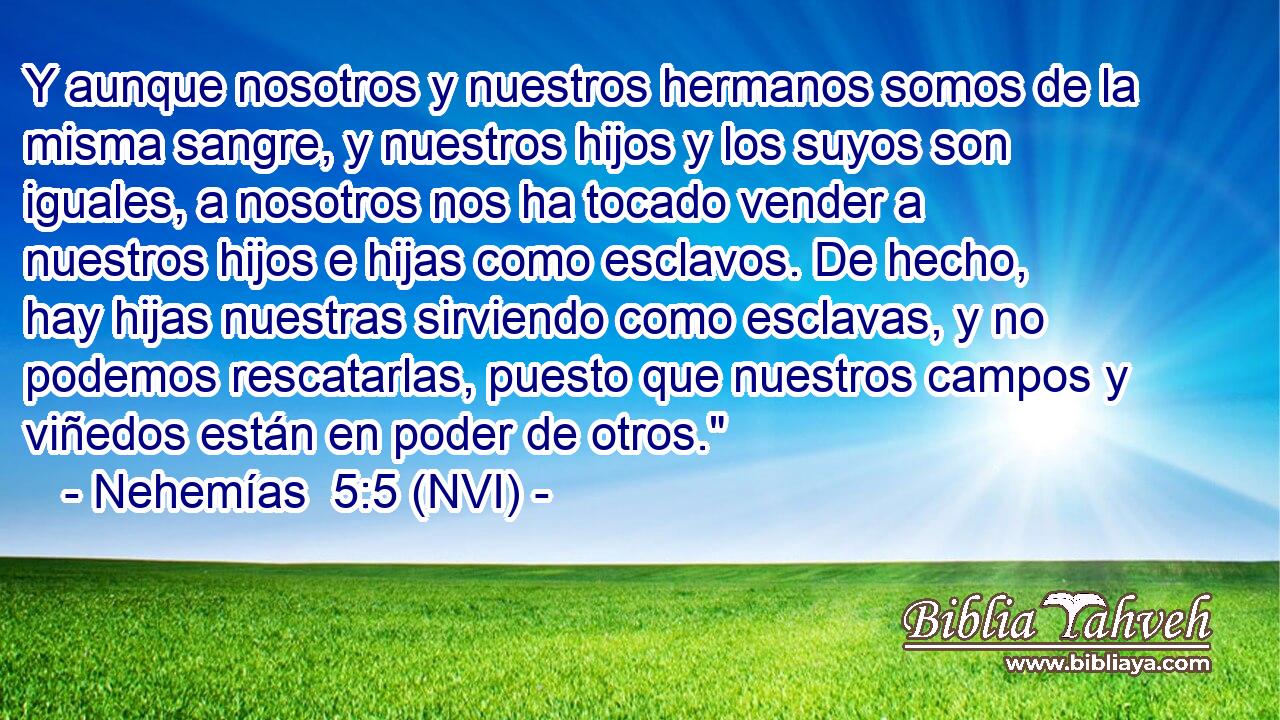  Y aunque nosotros y nuestros hermanos somos de la misma sangre, y nuestros hijos y los suyos son iguales, a nosotros nos ha tocado vender a nuestros hijos e hijas como esclavos. De hecho, hay hijas nuestras sirviendo como esclavas, y no podemos rescatarlas, puesto que nuestros campos y viñedos están en poder de otros.