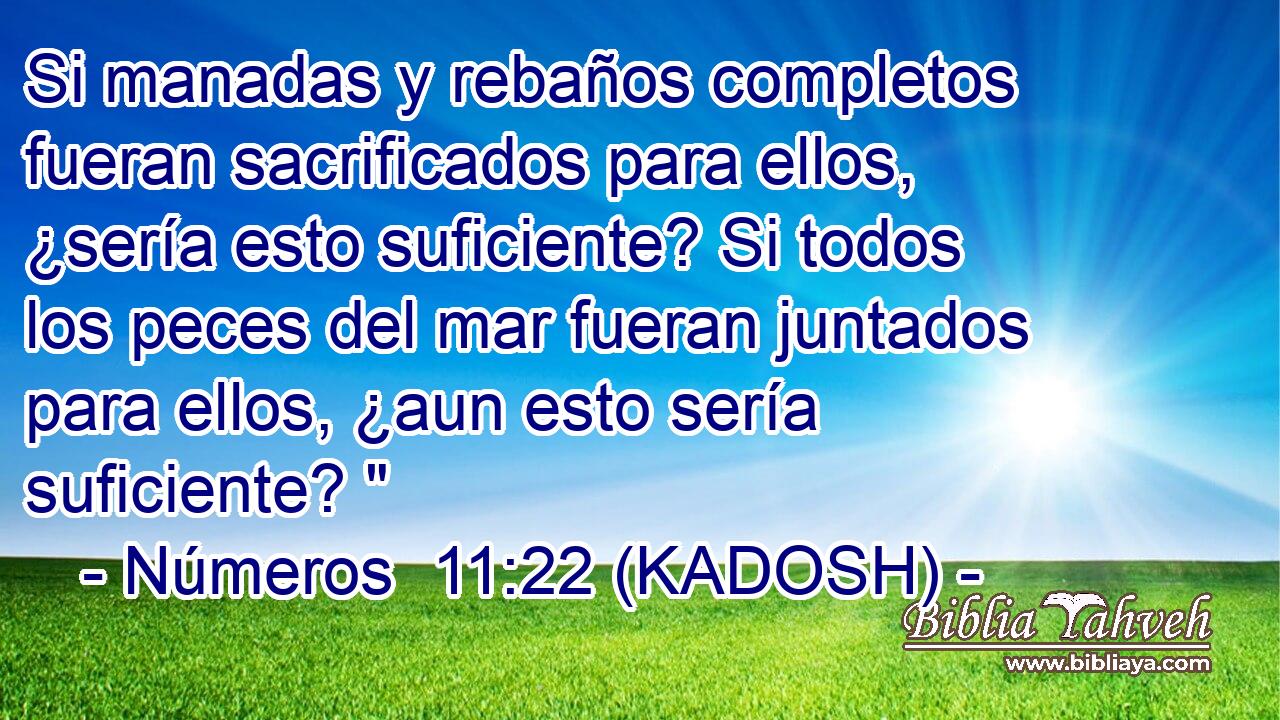  Si manadas y rebaños completos fueran sacrificados para ellos, ¿sería esto suficiente? Si todos los peces del mar fueran juntados para ellos, ¿aun esto sería suficiente? 