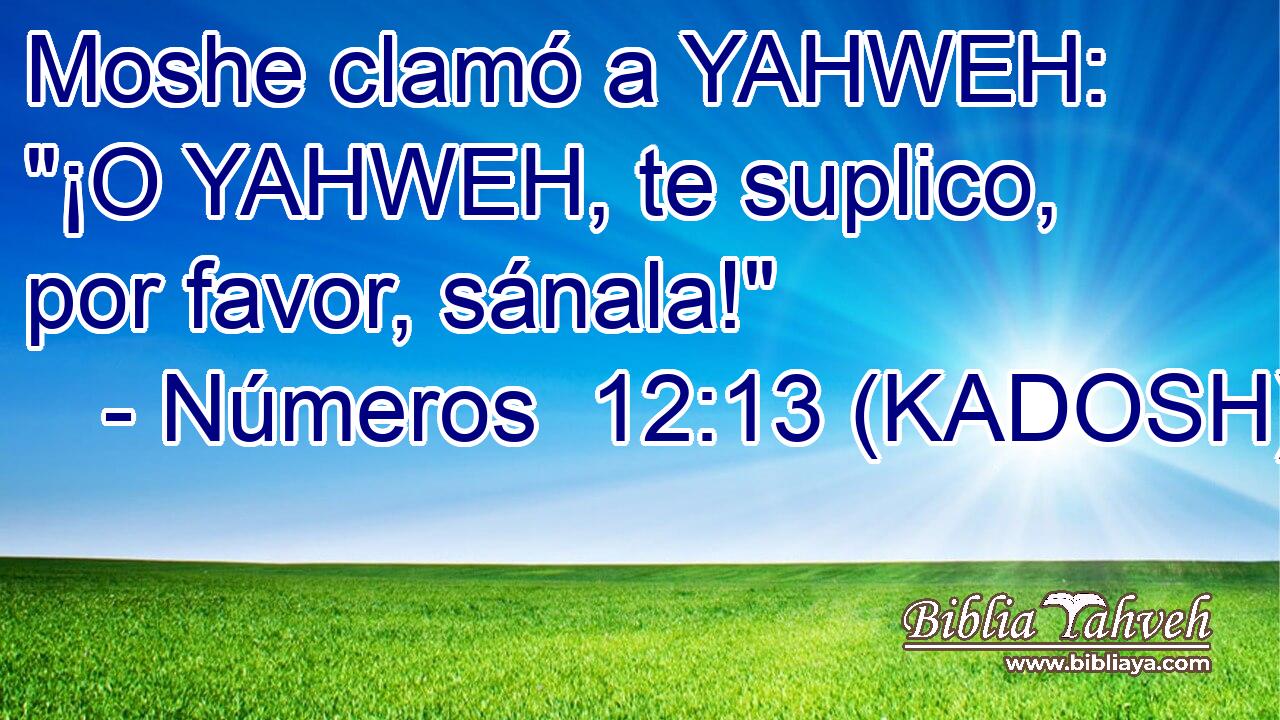  Moshe clamó a YAHWEH: 