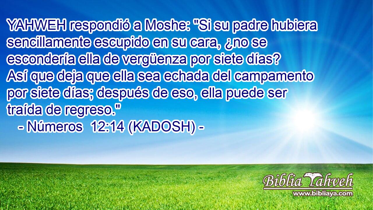  YAHWEH respondió a Moshe: 