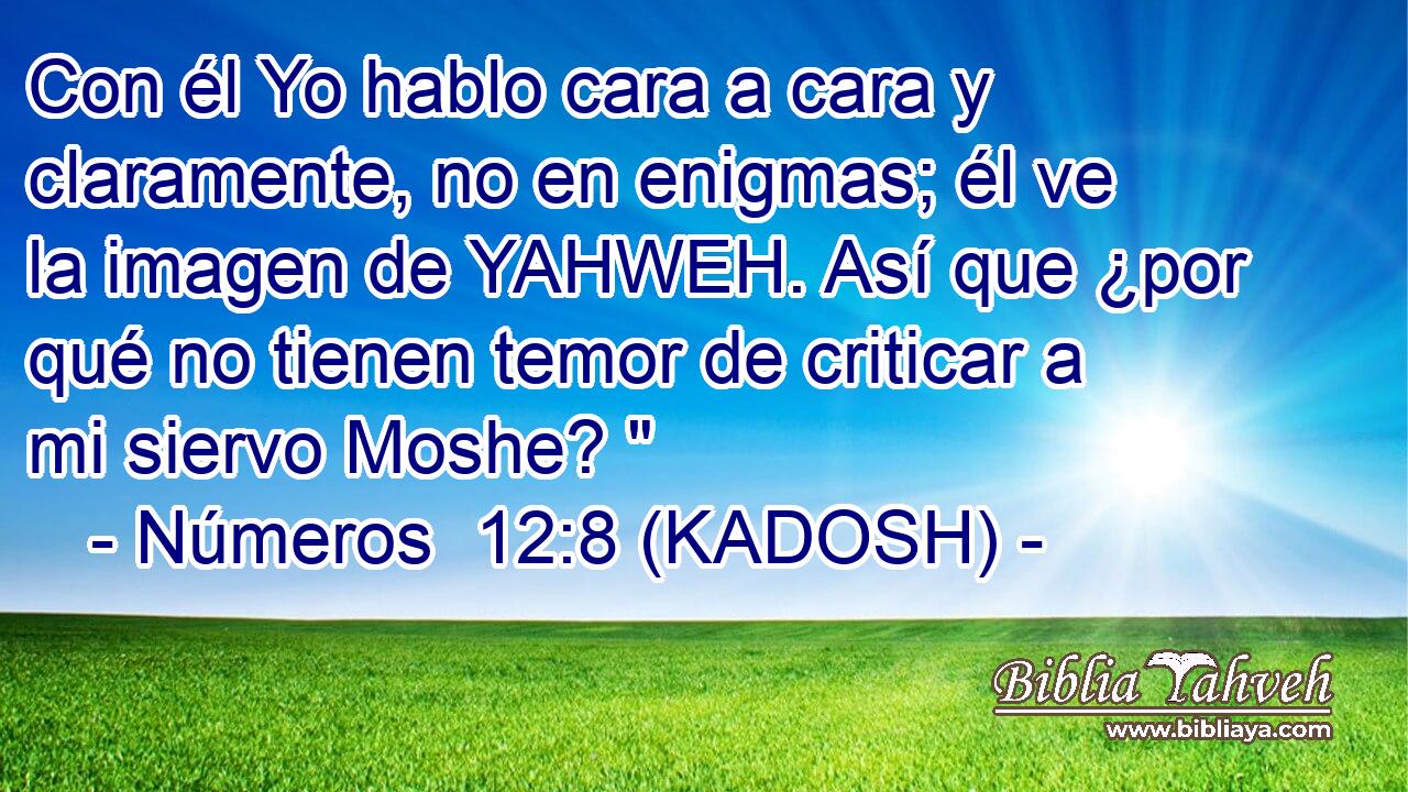  Con él Yo hablo cara a cara y claramente, no en enigmas; él ve la imagen de YAHWEH. Así que ¿por qué no tienen temor de criticar a mi siervo Moshe? 