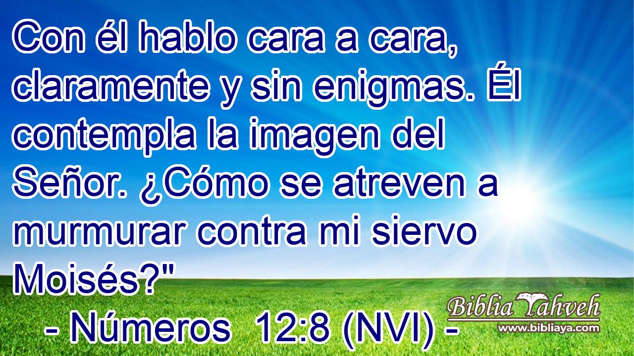  Con él hablo cara a cara, claramente y sin enigmas. Él contempla la imagen del Señor. ¿Cómo se atreven a murmurar contra mi siervo Moisés?